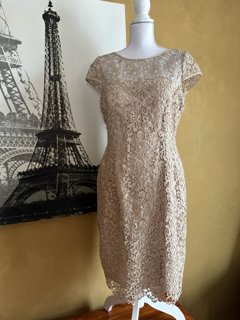 Adrianna Papell Lace Sheath Dress in Champagne Beige 12